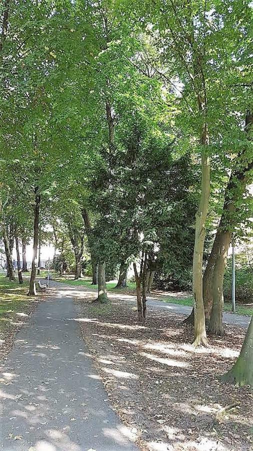 Apartments Am Spitalthor Straubing Bagian luar foto